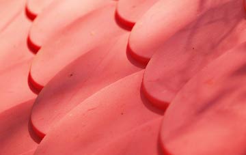 Balgaveny plastic roof costs